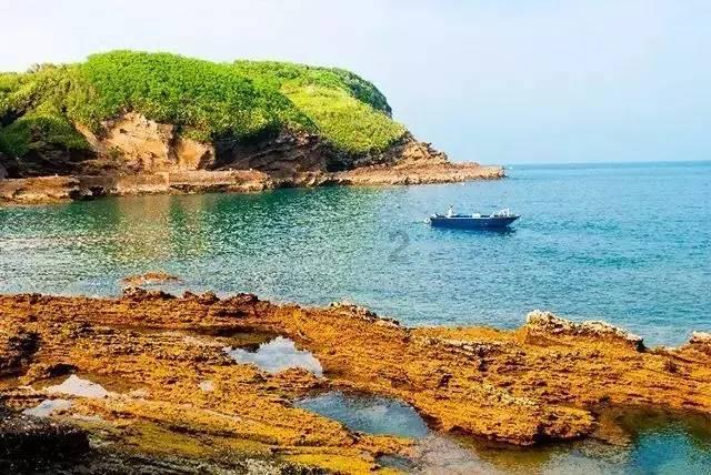 电影《逆境追凶》入围第三届香港紫荆花国际电影节主竞赛单元