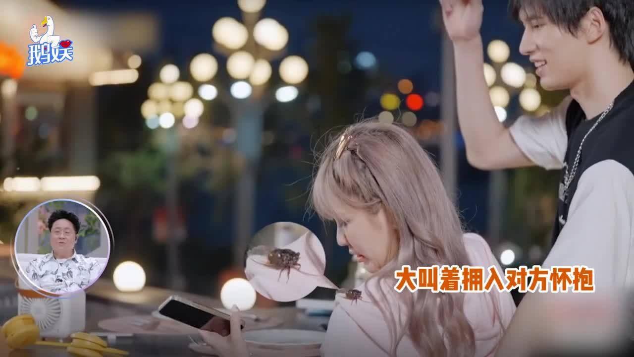 鹰击长空2